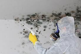 Best Forensic Mold Investigation  in Cattaraugus, NY